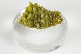 Apple-Green Pyromorphite Crystal Cluster - China #179696-1